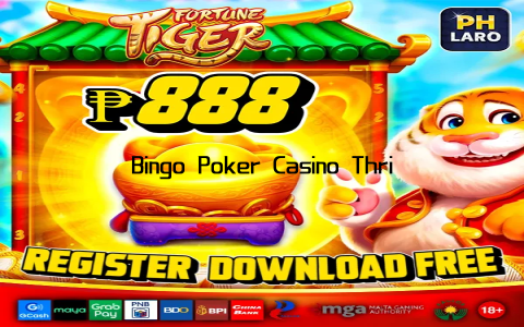 Bingo Poker Casino Thrills Unleashed Now